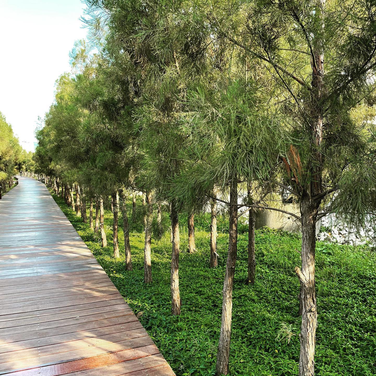 Nice relaxing stroll #wetlandspark #taipa #macau (2)