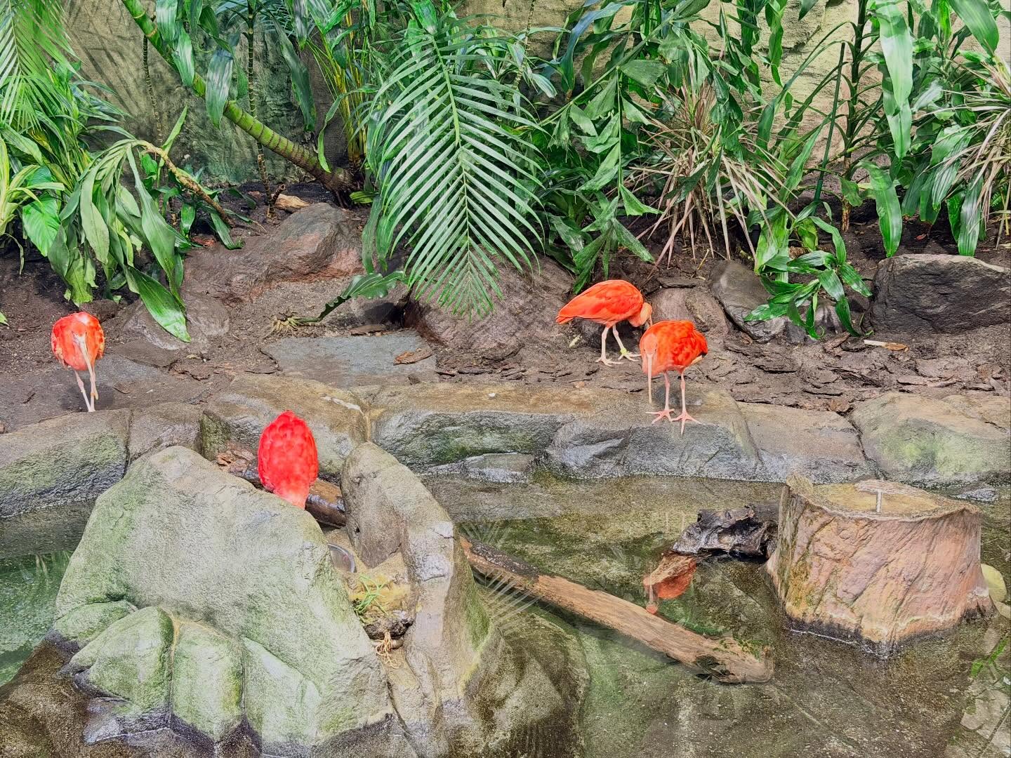 Spent several hours at the #VancouverAquarium. Learnt a lot, especially how to preserve… (12)