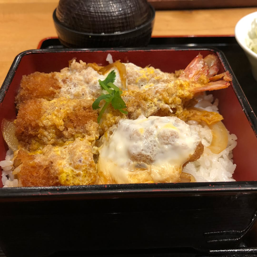 Very good Tonkatsu (2)