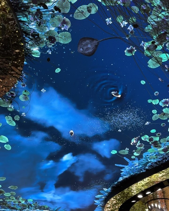 Underneath a pond at #ChangiAirport #DreamScape #Singapore (2)