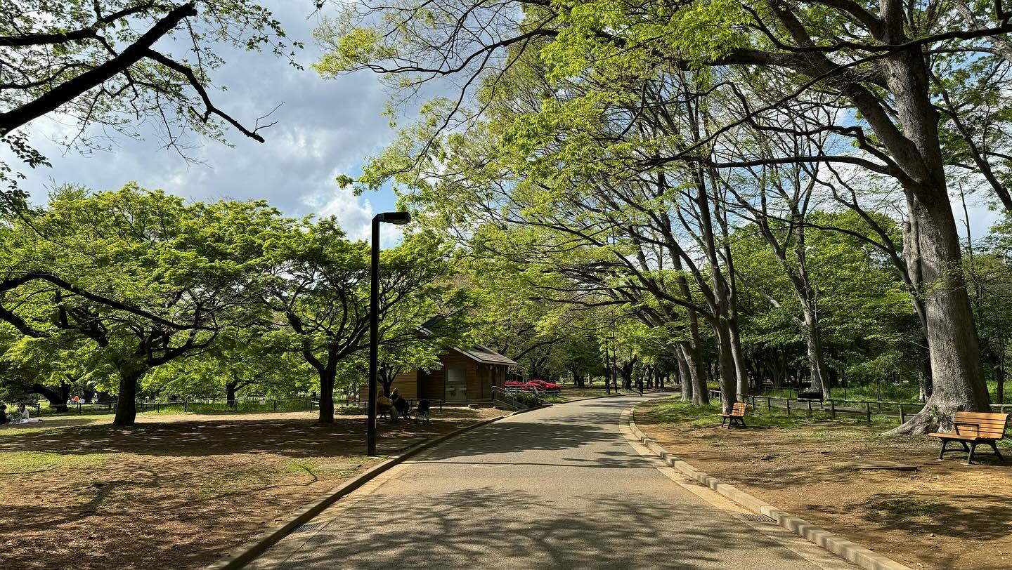 Mini #picnic in the #park with @trufflebakery #tokyo (7)