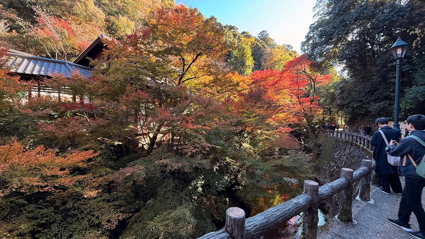 Fall foliage throughout the path to the falls #osaka (2)