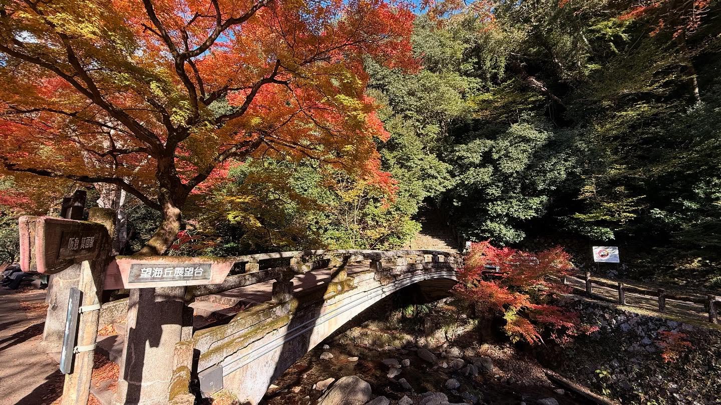 Fall foliage throughout the path to the falls #osaka (4)