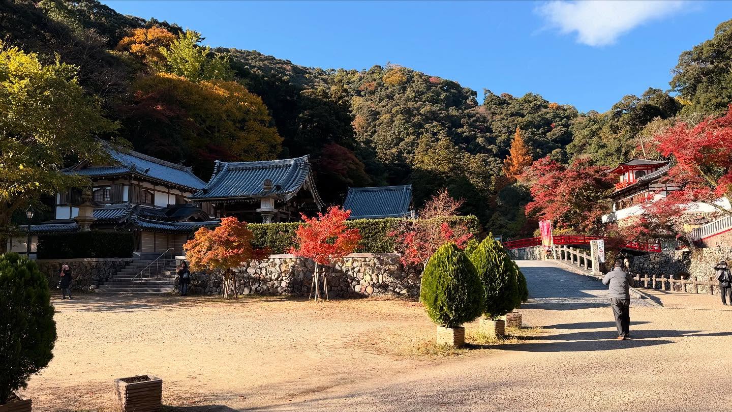 Fall foliage throughout the path to the falls #osaka (5)