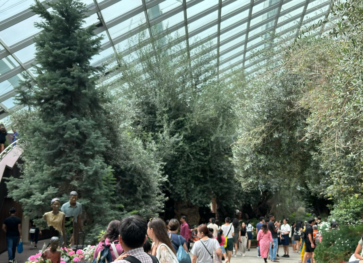 #GardensByTheBay #FlowerDome Part 3 (4)