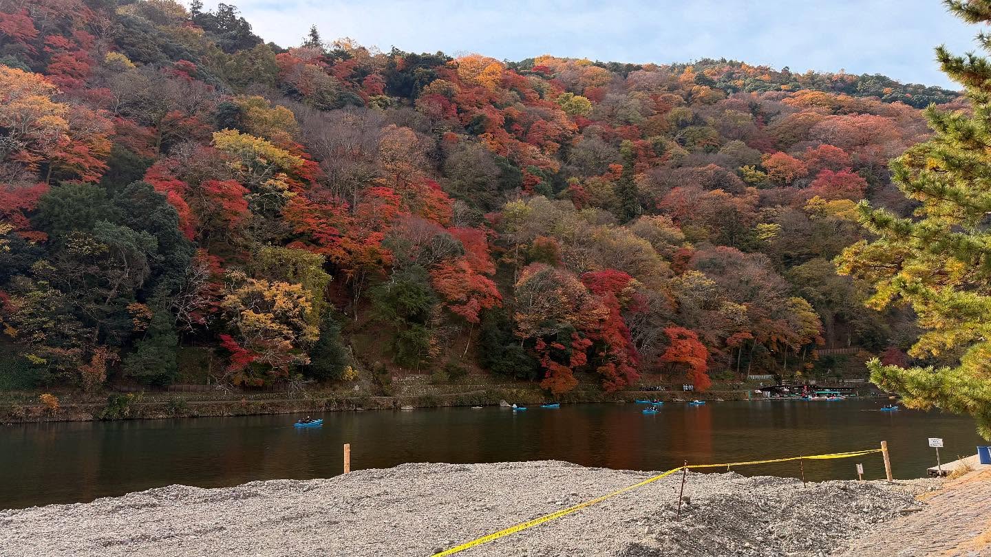 Walk about at the #Arashiyamariver (15)
