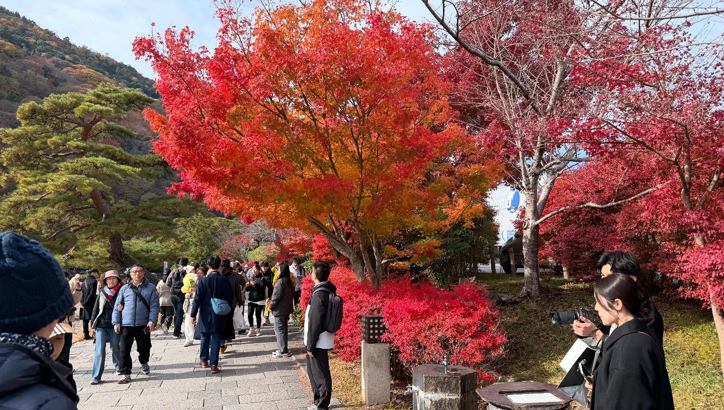 Walk about at the #Arashiyamariver (16)