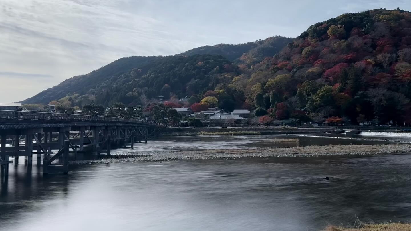 Walk about at the #Arashiyamariver (19)