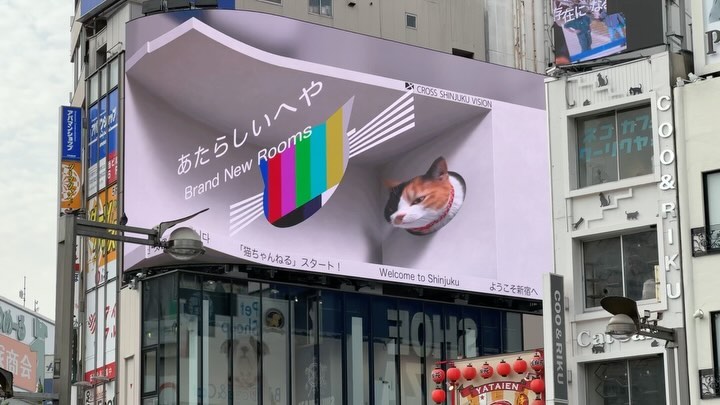 The Cat at #Shinjuku #tokyo #japan #3dadvertising (2)