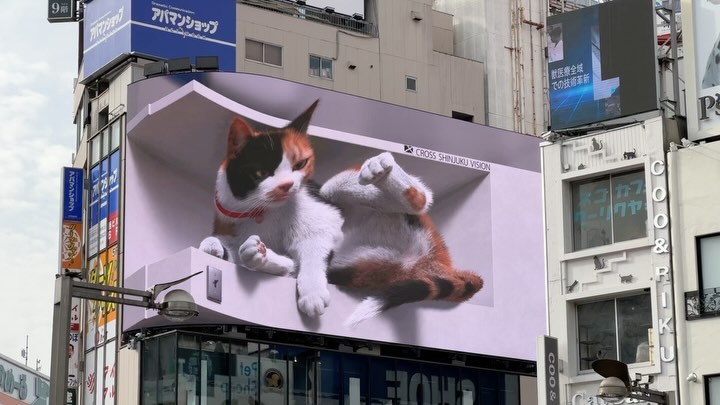 The Cat at #Shinjuku #tokyo #japan #3dadvertising (3)