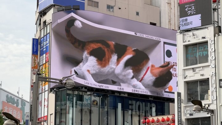The Cat at #Shinjuku #tokyo #japan #3dadvertising (4)
