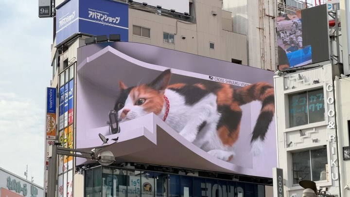 The Cat at #Shinjuku #tokyo #japan #3dadvertising (5)