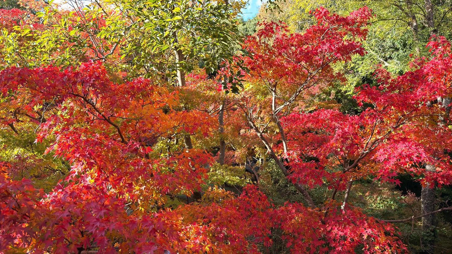 A beautiful day to enjoy #nature (6)