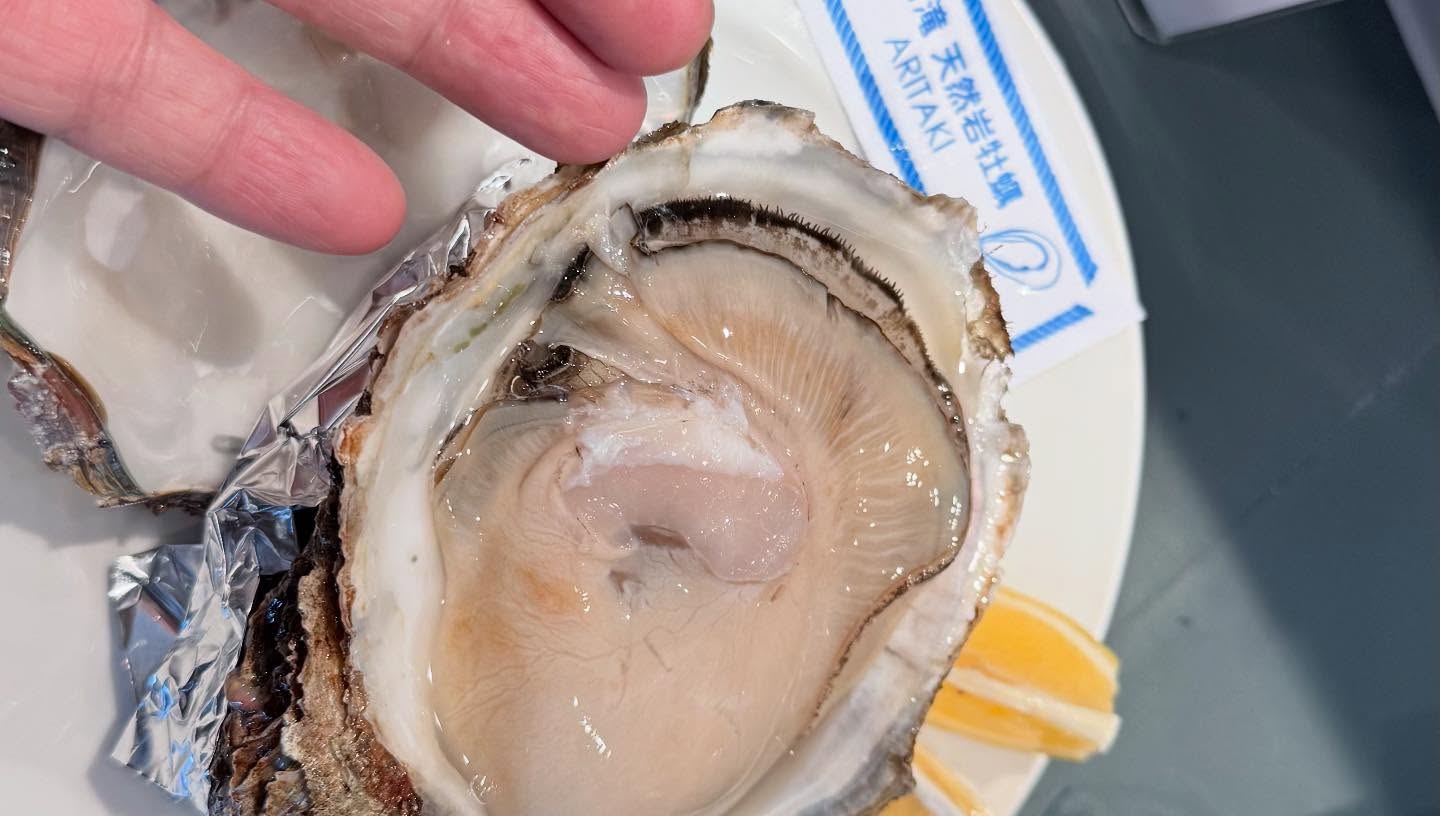 Huge #oysters Very fresh (3)