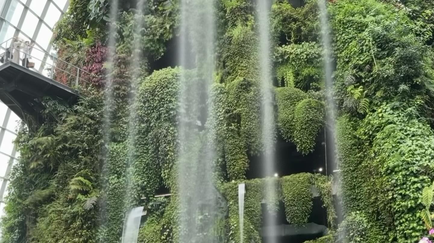 #GardensByTheBay #CloudForest Part 1 (5)