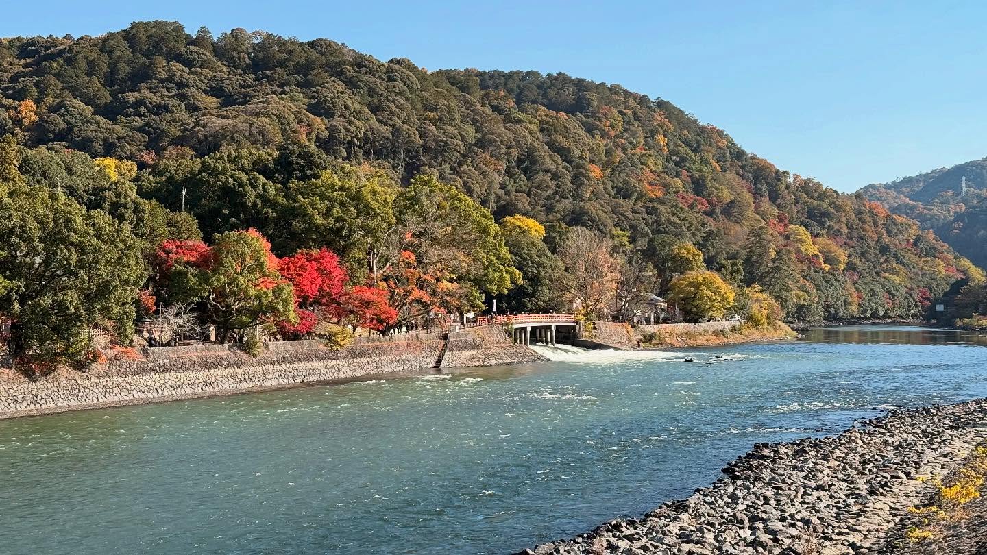 Walk about in #uji home of #matcha #kyoto #japan (7)